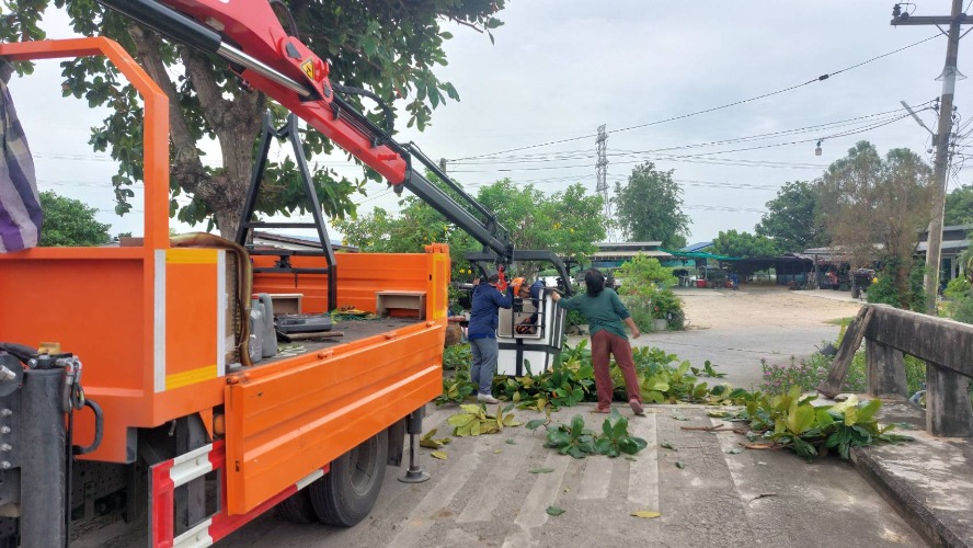 ตัดกิ่งไม้ หมู่ 3 และ หมู่ 4 ต.บางหัก