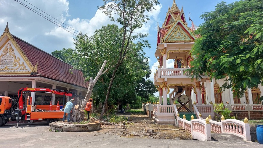 ตัดแต่งกิ่งไม้ บริเวณวัดเกาะลอย อ.พานทอง จ.ชลบุรี