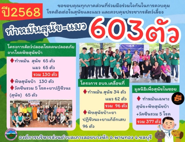 ปีงบประมาณ พ.ศ. 2568 ทำหมันสุนัขและแมว รวม 603 ตัว