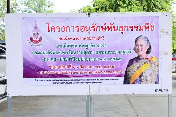 โครงการอนุรักษ์พันธุกรรมพืช อันเนื่องมาจากพระราชดำริ สมเด็จพระกนิษฐาธิราชเจ้า กรมสมเด็จพระเทพรัตนราชสุดาฯ สยามบรมราชกุมารี (อพ.สธ.) ประจำปีงบประมาณ พ.ศ. 2569